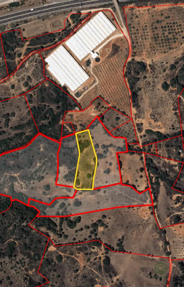 Spot image