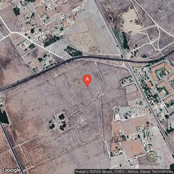Spot image