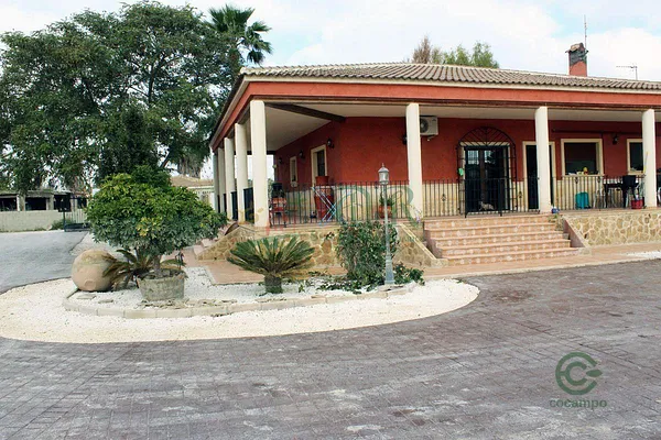 Spot image