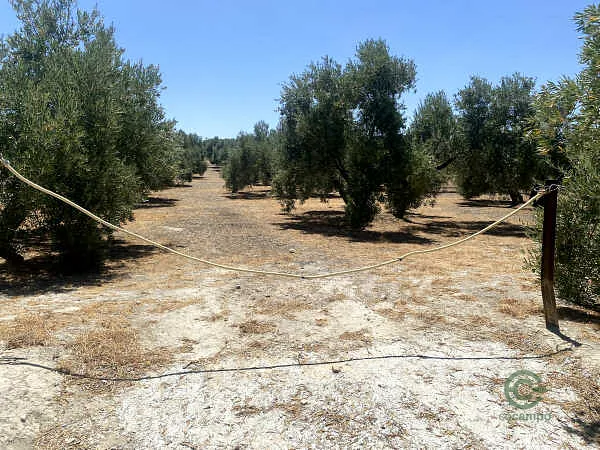 Finca rústica de 0,05 ha en venta en Ibros, Jaén