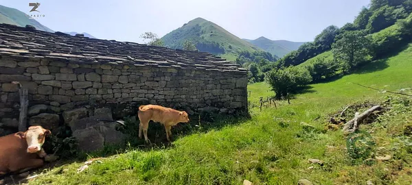 Finca rústica de 0,6 ha en venta en Vega de pas, Cantabria