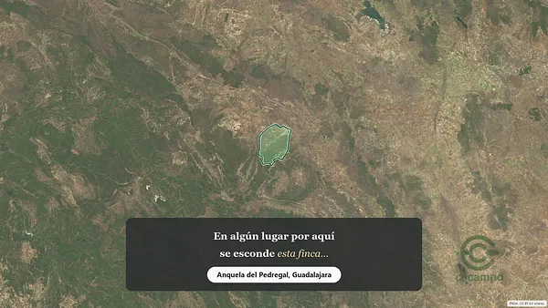 Spot image