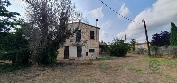 Spot image