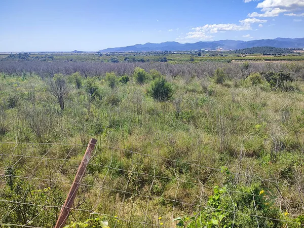 Finca agrícola de 2,0951 ha en venta en Onda, Castellon