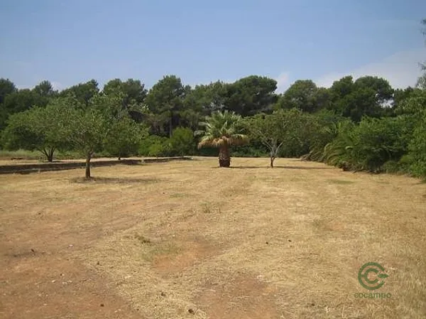 Finca rústica de 2 ha en venta en Denia, Alicante