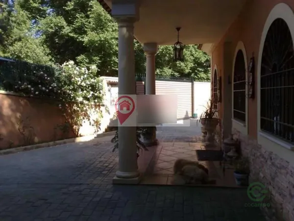 Spot image