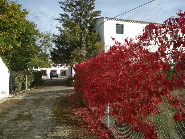 Casa de 0,5832 ha en venta en Burgos, Burgos