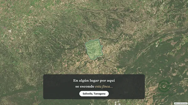 Spot image