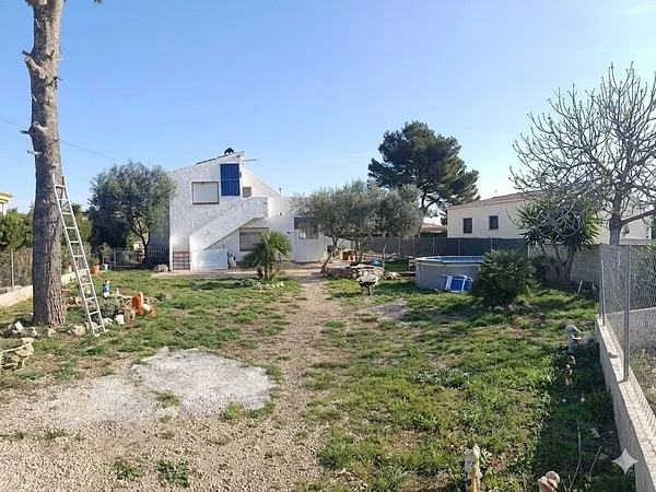 Spot image