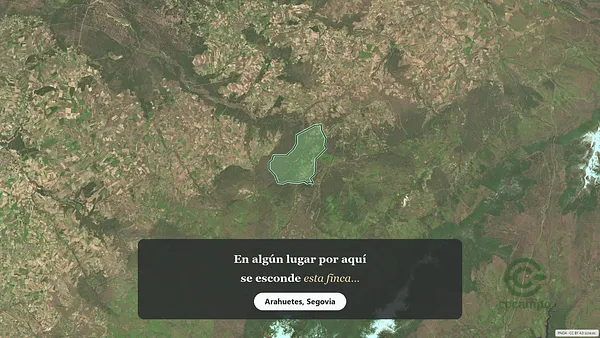 Spot image