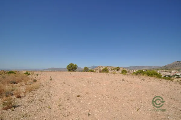 Spot image