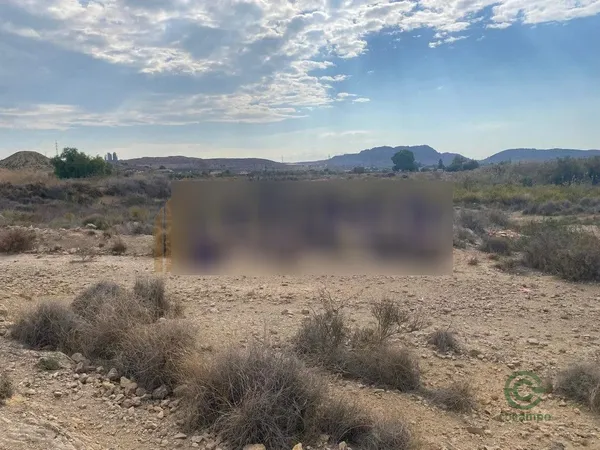 Spot image