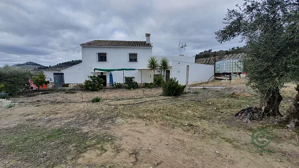 Spot image