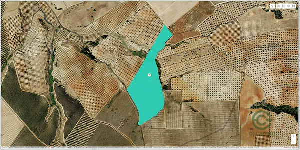 Spot image