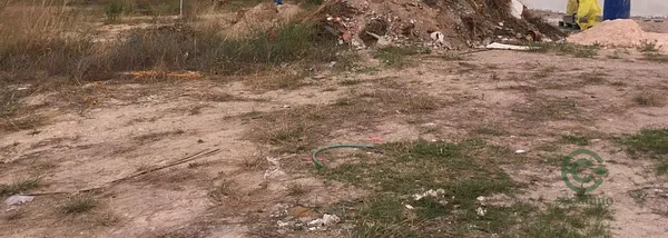 Spot image