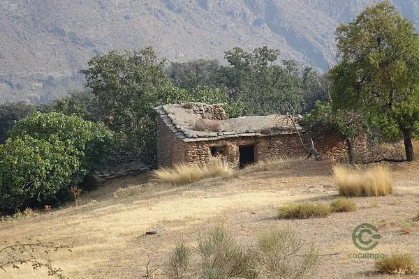 Spot image