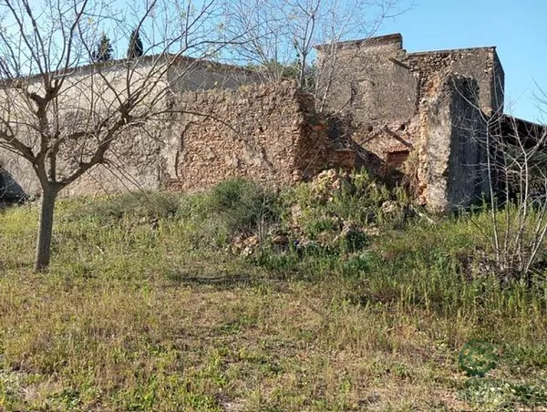 Spot image