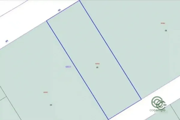 Spot image