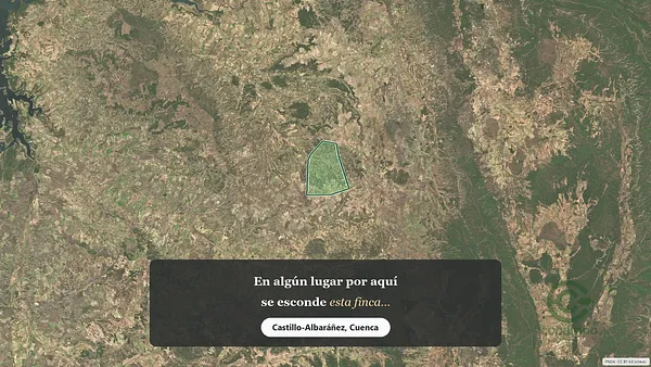 Spot image