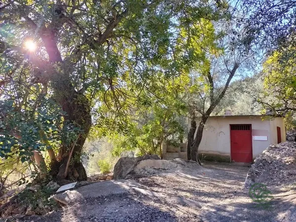 Spot image