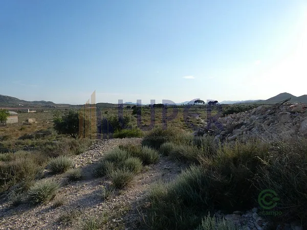 Finca agrícola de 1,7743 ha en venta en Alicante