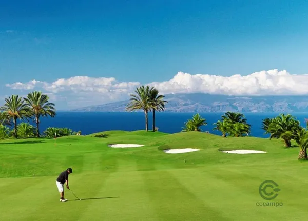 Terreno urbano de 0,1128 ha en venta en Guia de isora, Santa cruz de tenerife