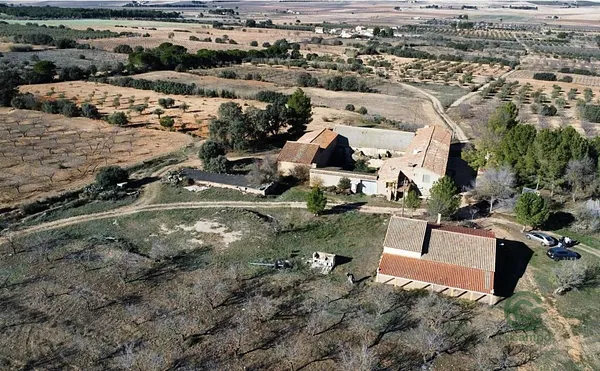 Spot image