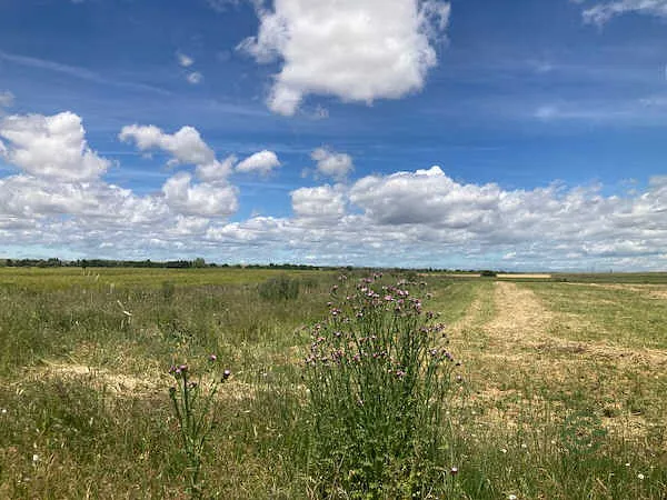 Finca rústica de 0,26 ha en venta en Sahagún, León