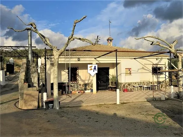 Spot image
