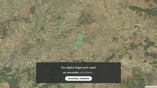Spot image