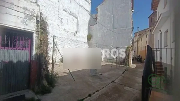 Spot image