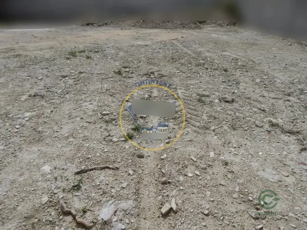 Spot image