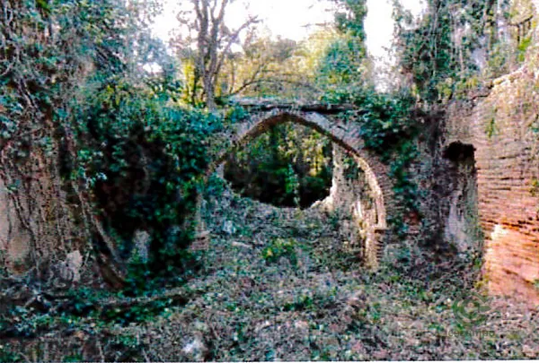 Spot image