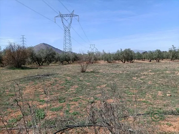 Spot image