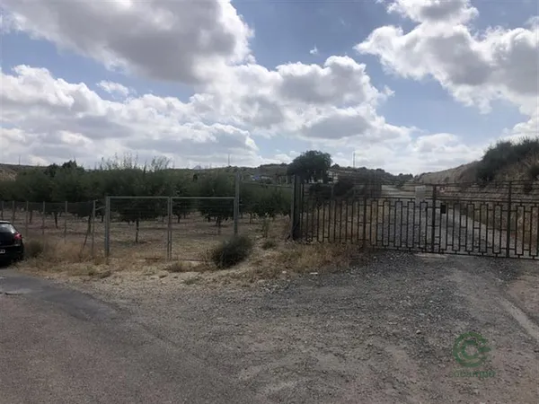 Finca rústica de 1,44 ha en venta en Aspe, Alicante