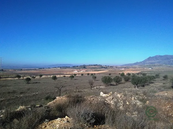 Spot image
