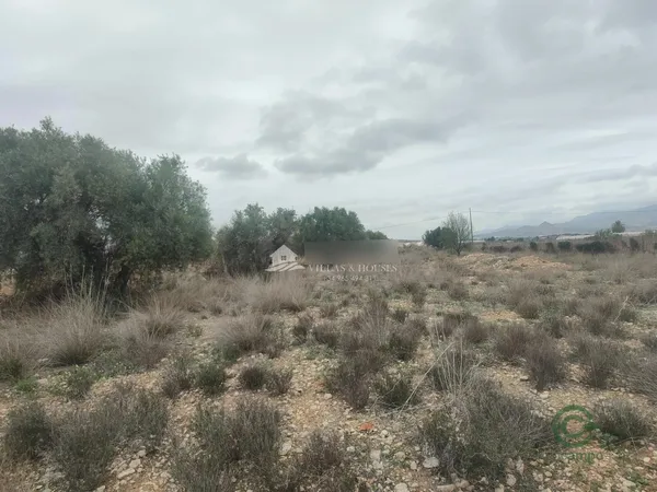 Spot image