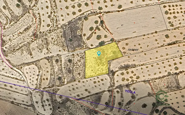 Spot image