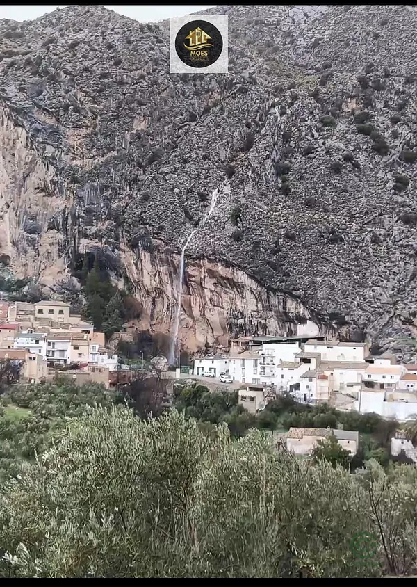 Spot image