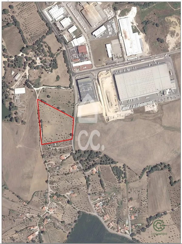 Spot image