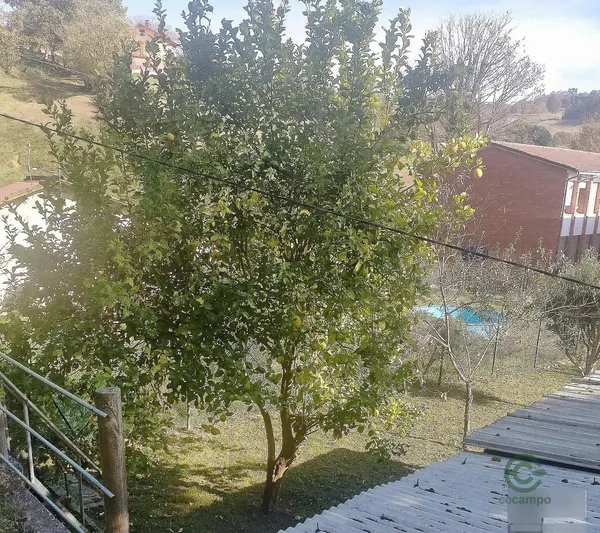 Terreno urbano de 0,0181 ha en venta en Siero, Asturias