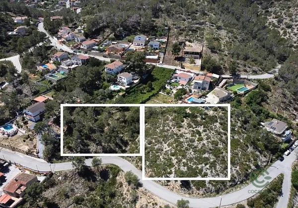 Spot image