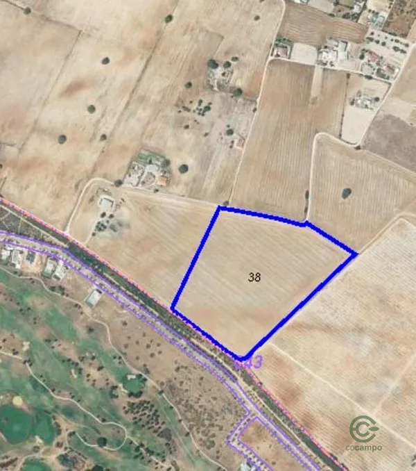 Spot image