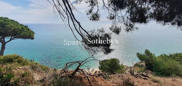 Spot image