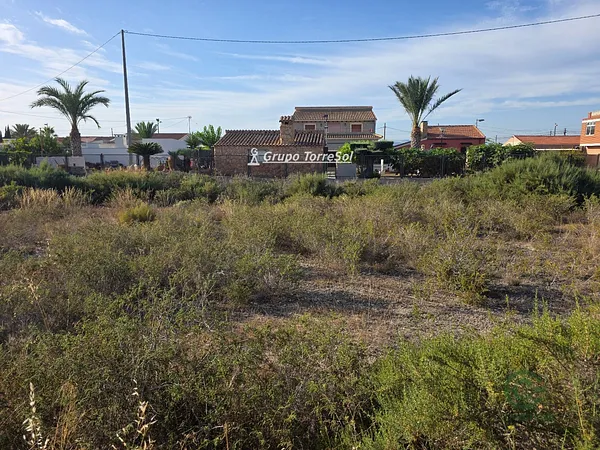Spot image