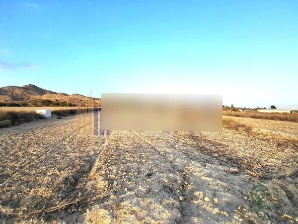 Spot image