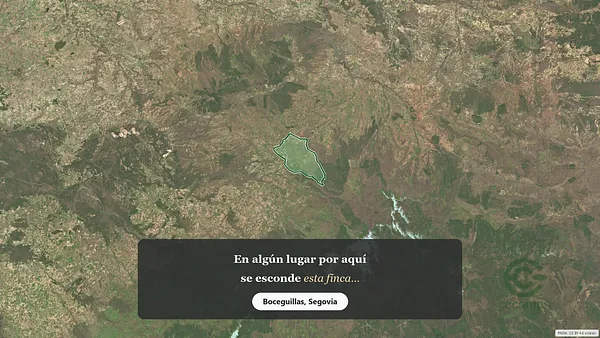 Spot image