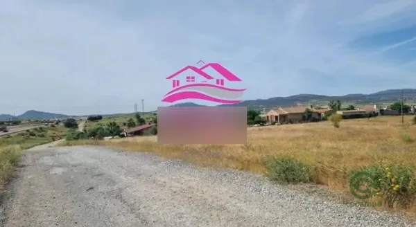Spot image