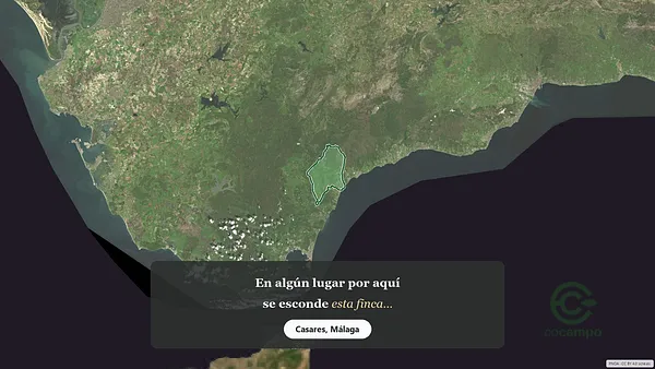 Spot image