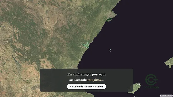 Spot image